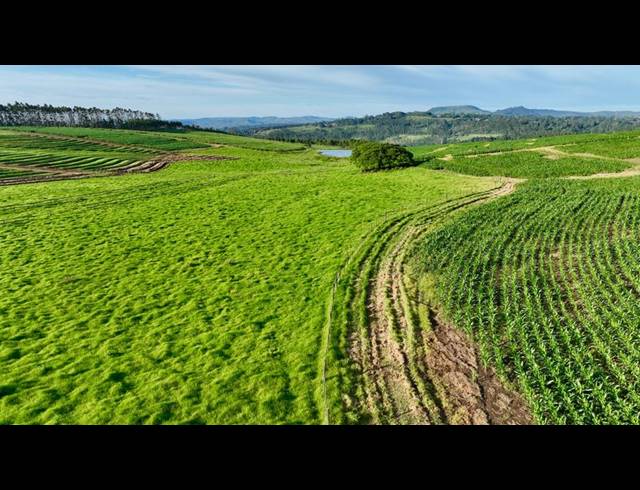 FARM FOR SALE IN MOUNT VERDE